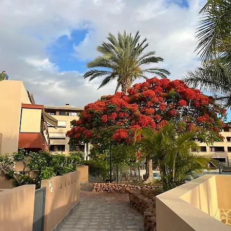 Sun And Sea Vacation In The Heart Of Playa Paraiso * Costa Adeje (Tenerife)