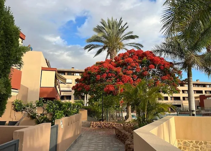 Sun And Sea Vacation In The Heart Of Playa Paraiso * 아데제